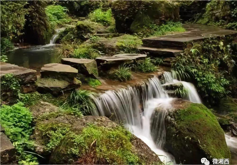 寻找沙漠珍宝